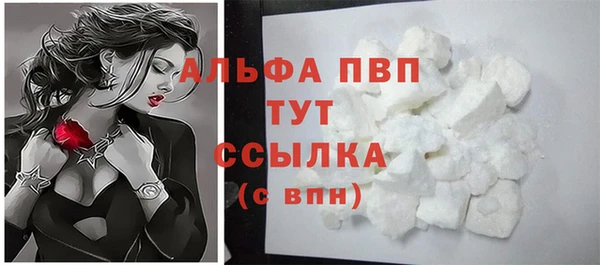 a pvp Алзамай