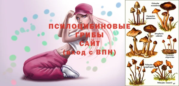 a pvp Алзамай