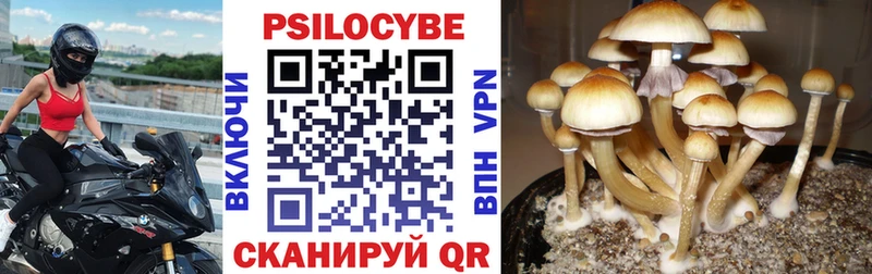 Галлюциногенные грибы MAGIC MUSHROOMS  Вышний Волочёк 